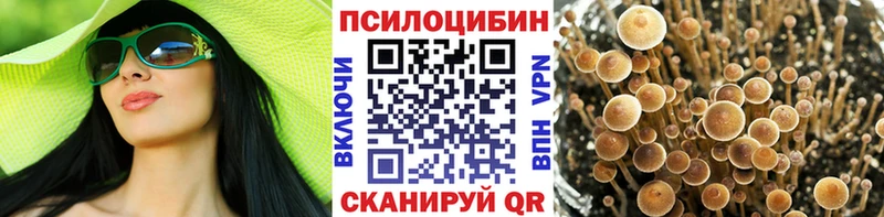 Псилоцибиновые грибы мицелий  магазин продажи   Пугачёв 